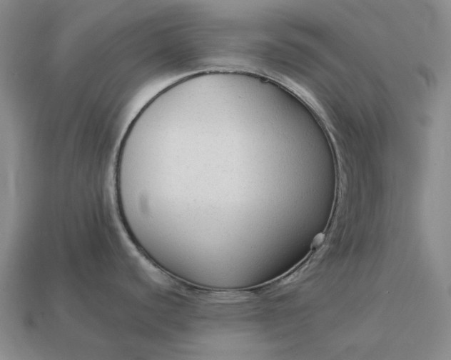 X0000112961440200909101624