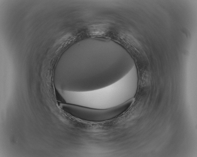 X0000112961441200909101623