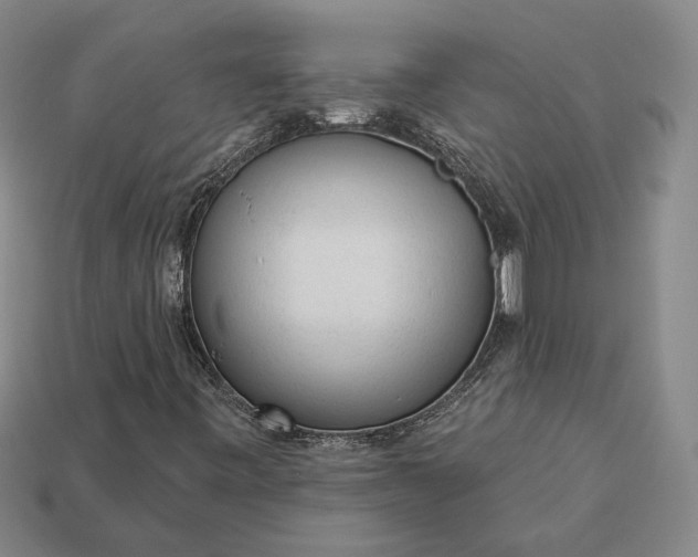 X0000112961443200909101623