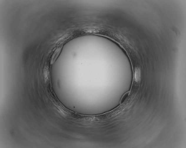 X0000112961444200909101623