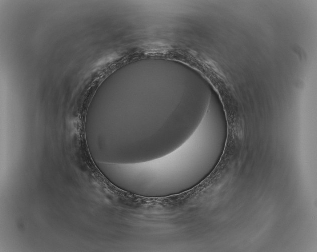 X0000112961445200909101623