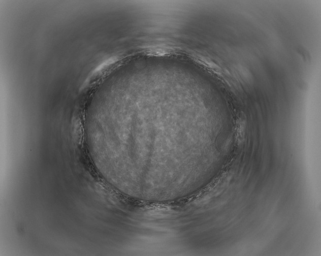 X0000112961446200909101623