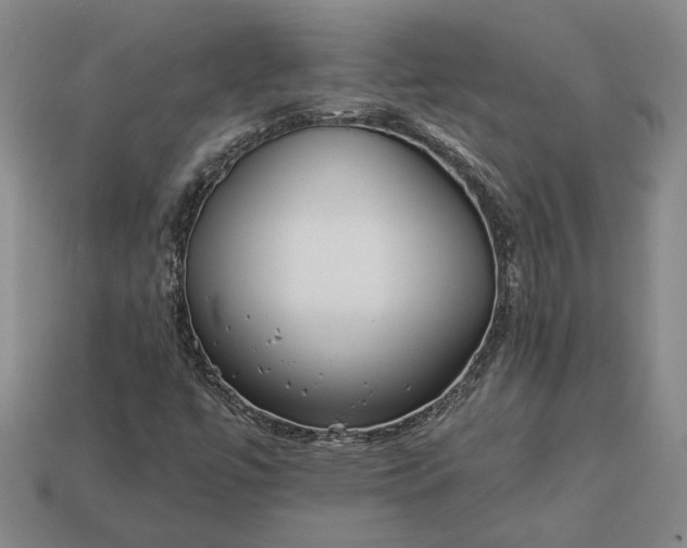 X0000112961447200909101623