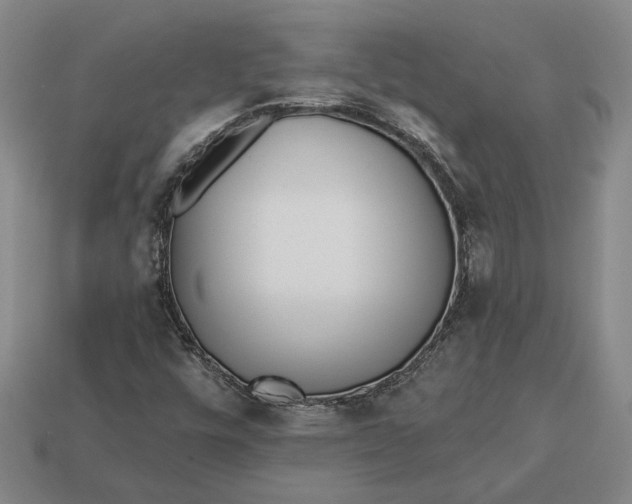 X0000112961448200909101623