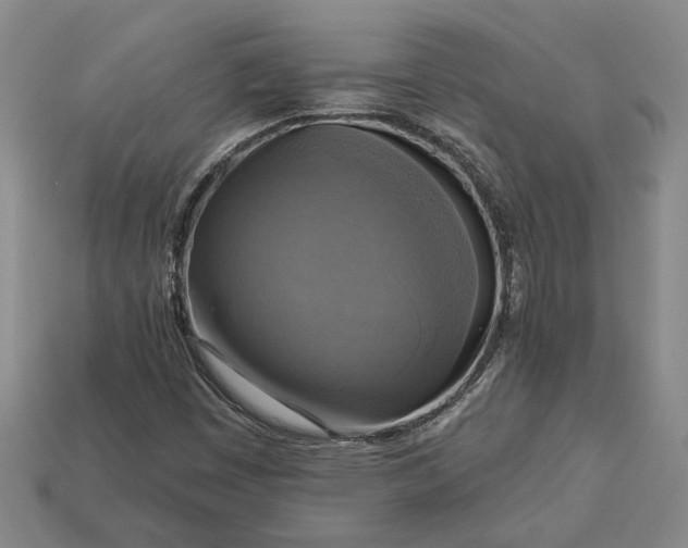 X0000112961449200909101623