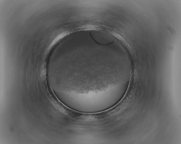 X0000112961450200909101623