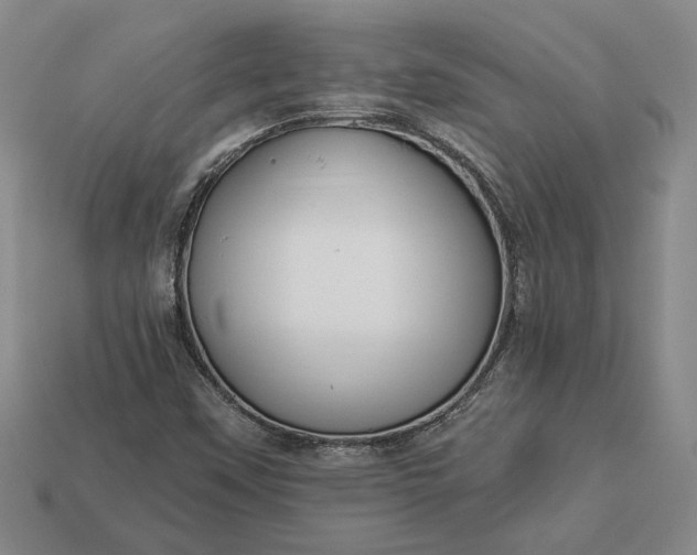 X0000112961451200909101623