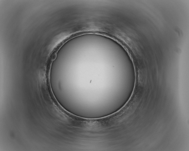 X0000112961452200909101623