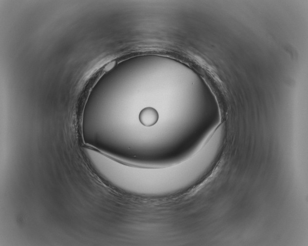 X0000112961453200909101623