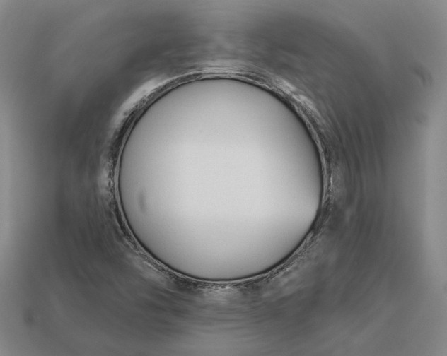 X0000112961454200909101623