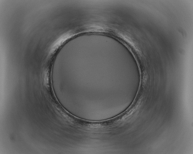 X0000112961455200909101623