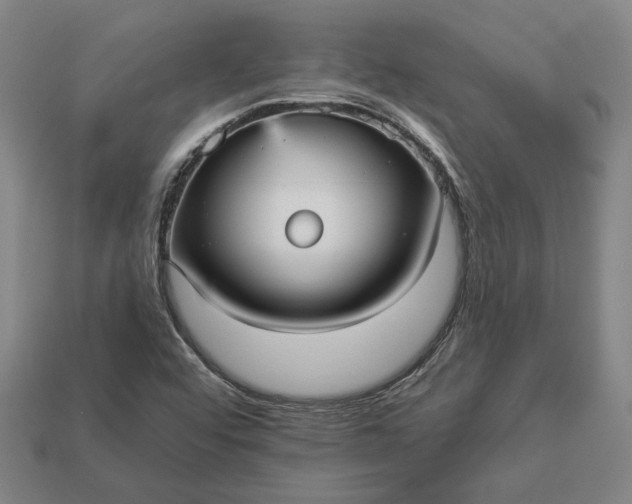 X0000112961456200909101623