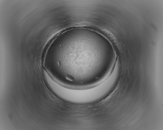 X0000112961457200909101623