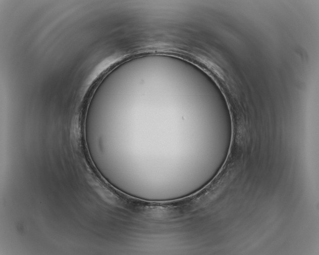 X0000112961458200909101623