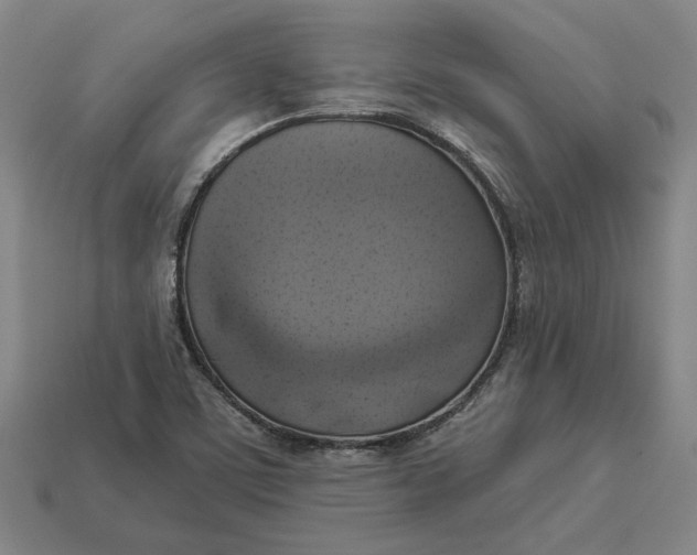 X0000112961459200909101623