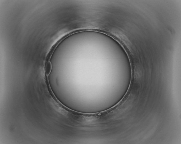 X0000112961460200909101623