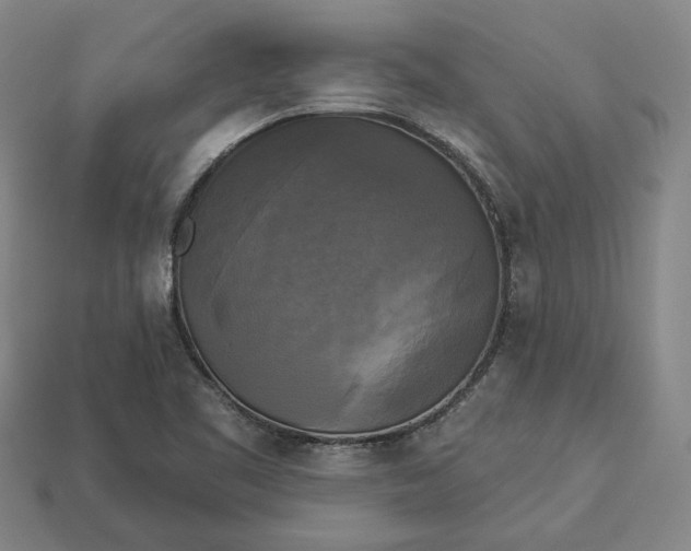 X0000112961461200909101623