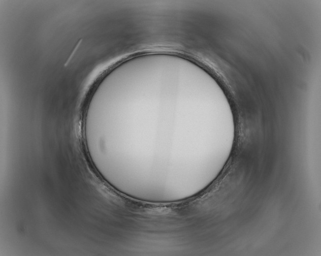 X0000112961462200909101623