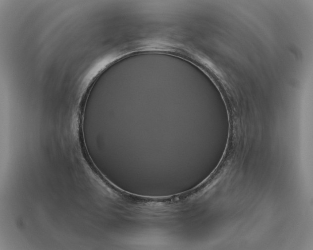 X0000112961463200909101623