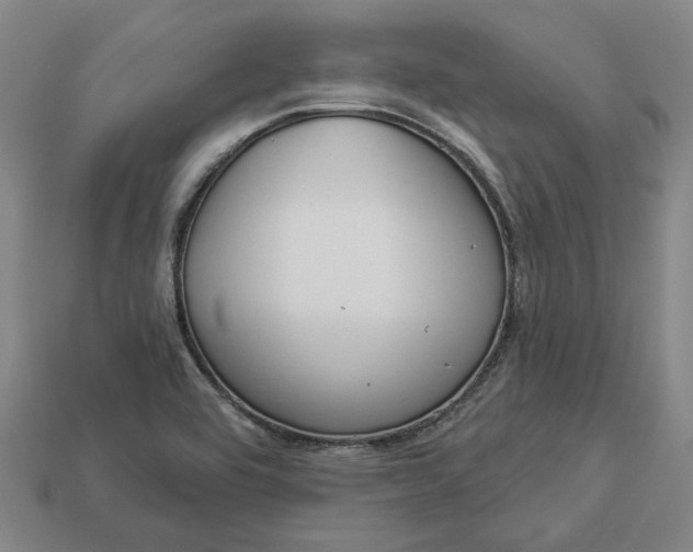 X0000112961464200909101623