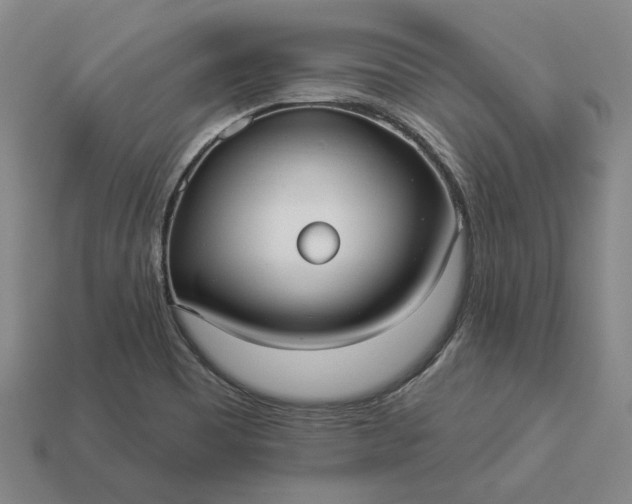 X0000112961465200909101623