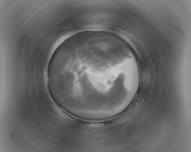 X0000112961466200909101623