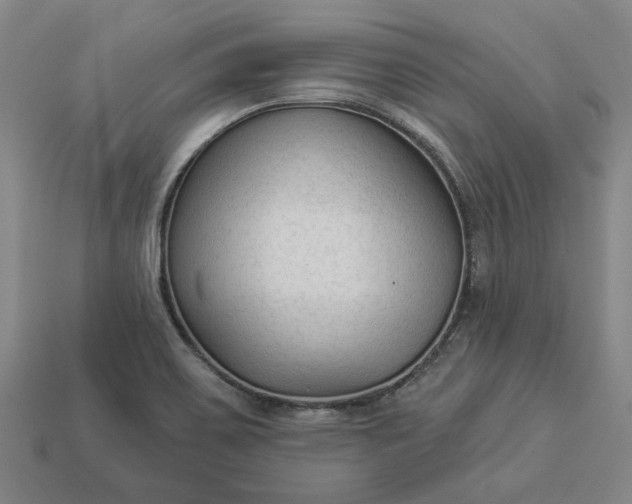 X0000112961467200909101623