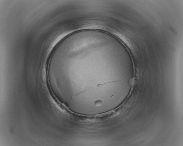 X0000112961468200909101623