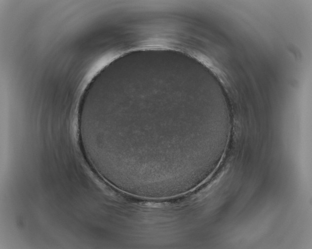 X0000112961469200909101623