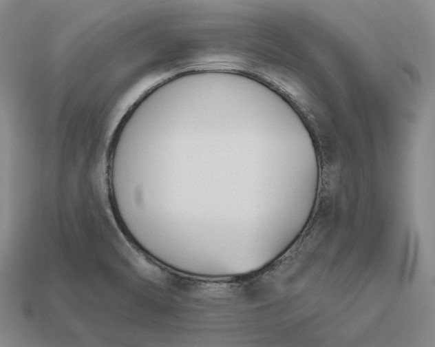 X0000112961470200909101623