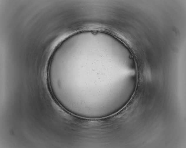 X0000112961471200909101623