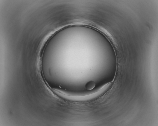 X0000112961472200909101623