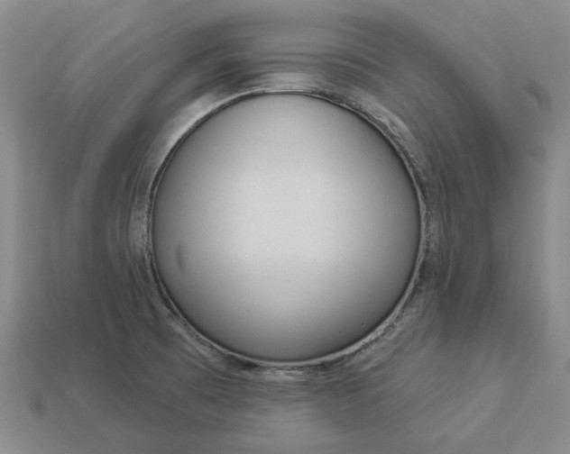 X0000112961473200909101623