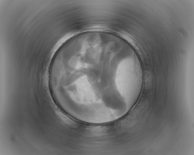 X0000112961474200909101623