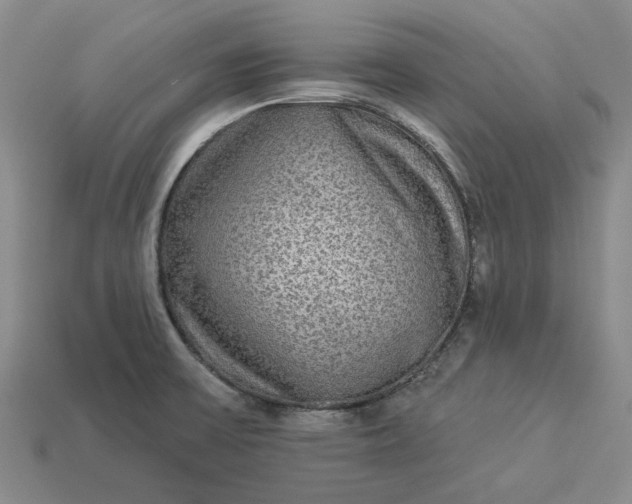 X0000112961475200909101623