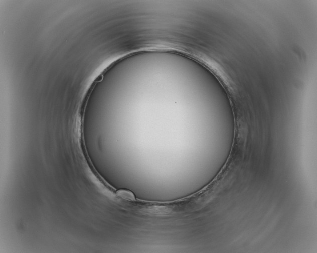 X0000112961476200909101623