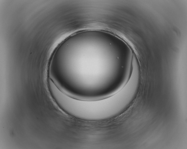 X0000112961477200909101622