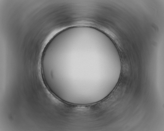 X0000112961478200909101622