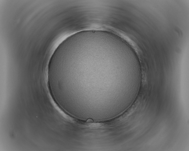 X0000112961479200909101622