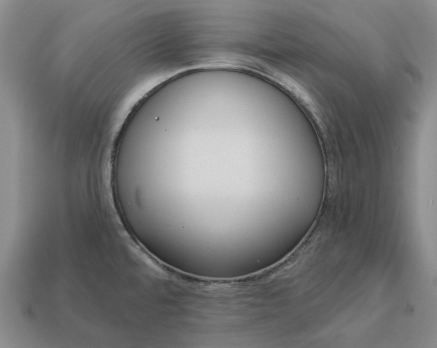 X0000112961480200909101622