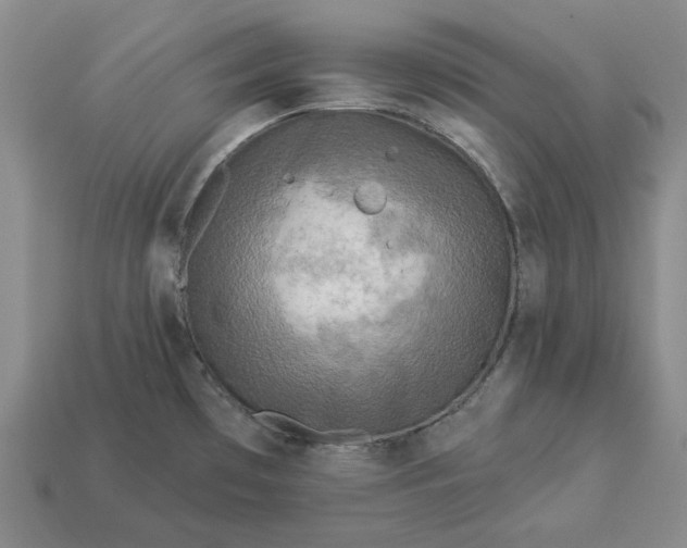 X0000112961481200909101622