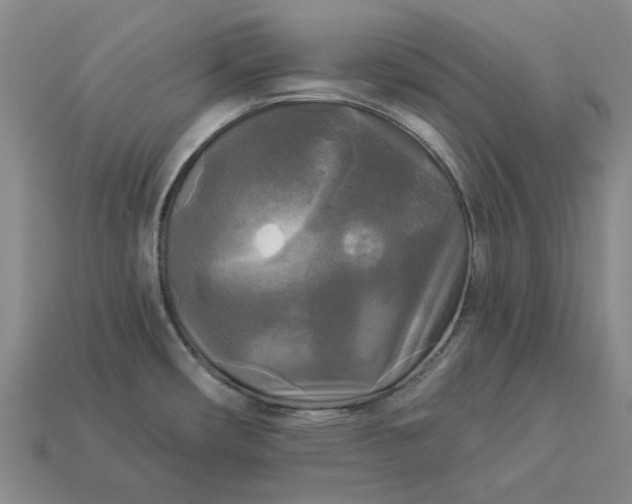 X0000112961482200909101622