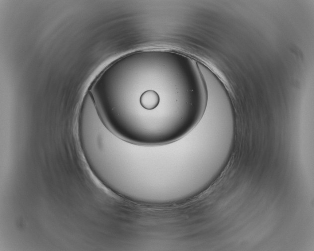 X0000112961484200909101622