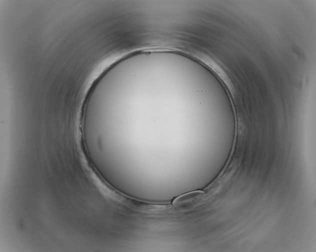 X0000112961485200909101622