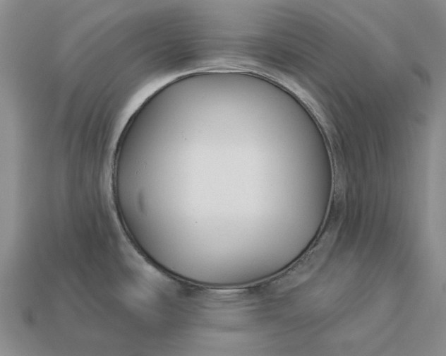 X0000112961486200909101622