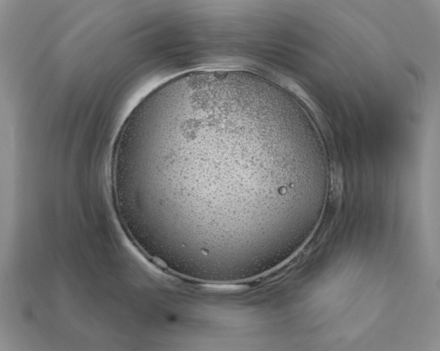 X0000112961487200909101622