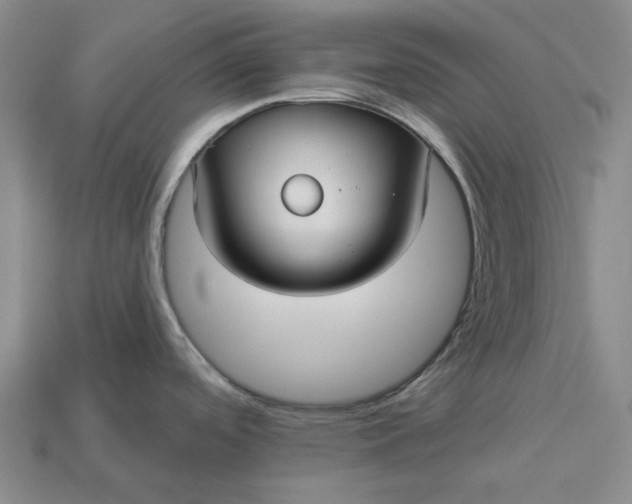 X0000112961488200909101622