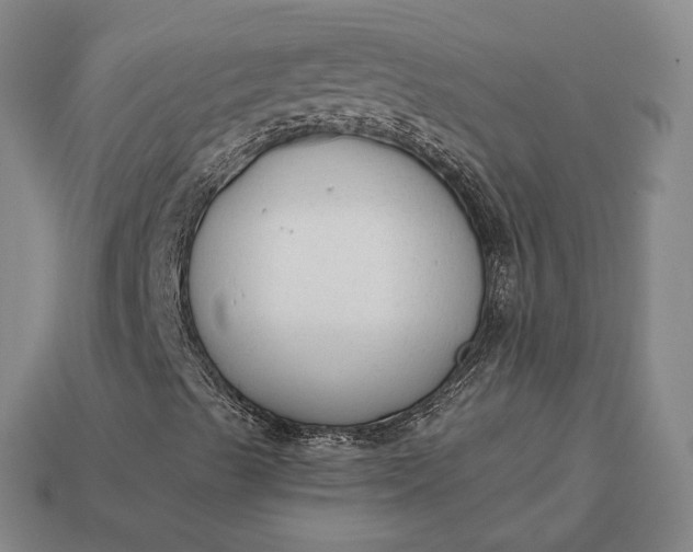 X0000112961489200909101622