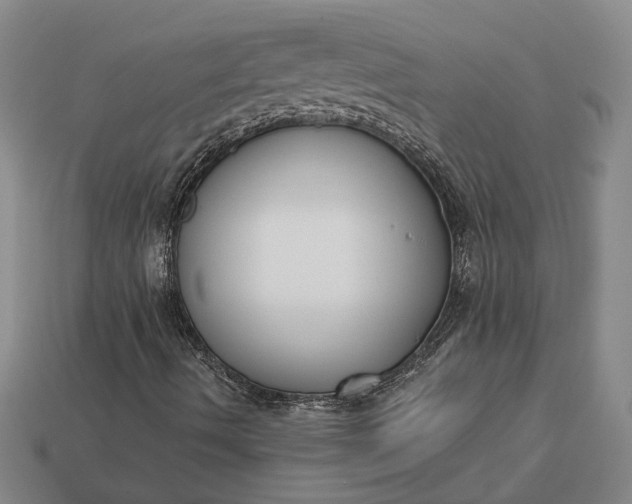 X0000112961490200909101622