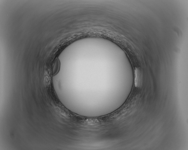 X0000112961491200909101622